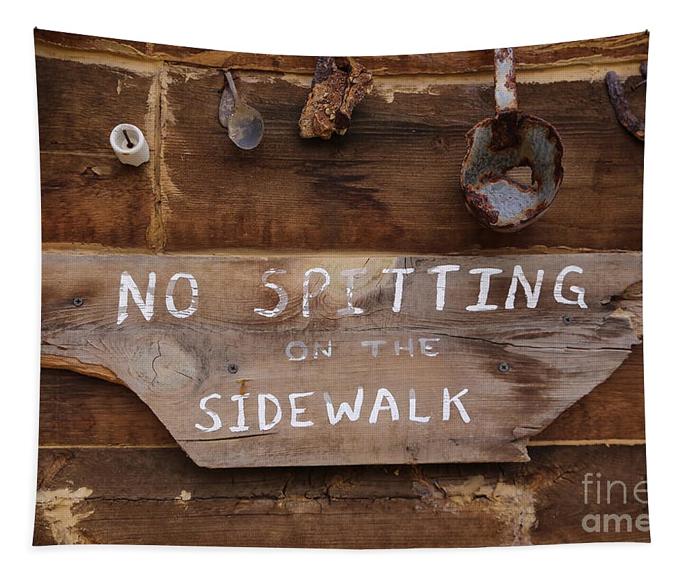 No Spitting Tapestry featuring the photograph No Spitting by Lynn Sprowl