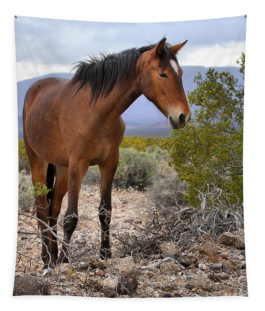 Mustang Tapestry featuring the photograph Nopah Mountains Wild Horse by Adam Jewell