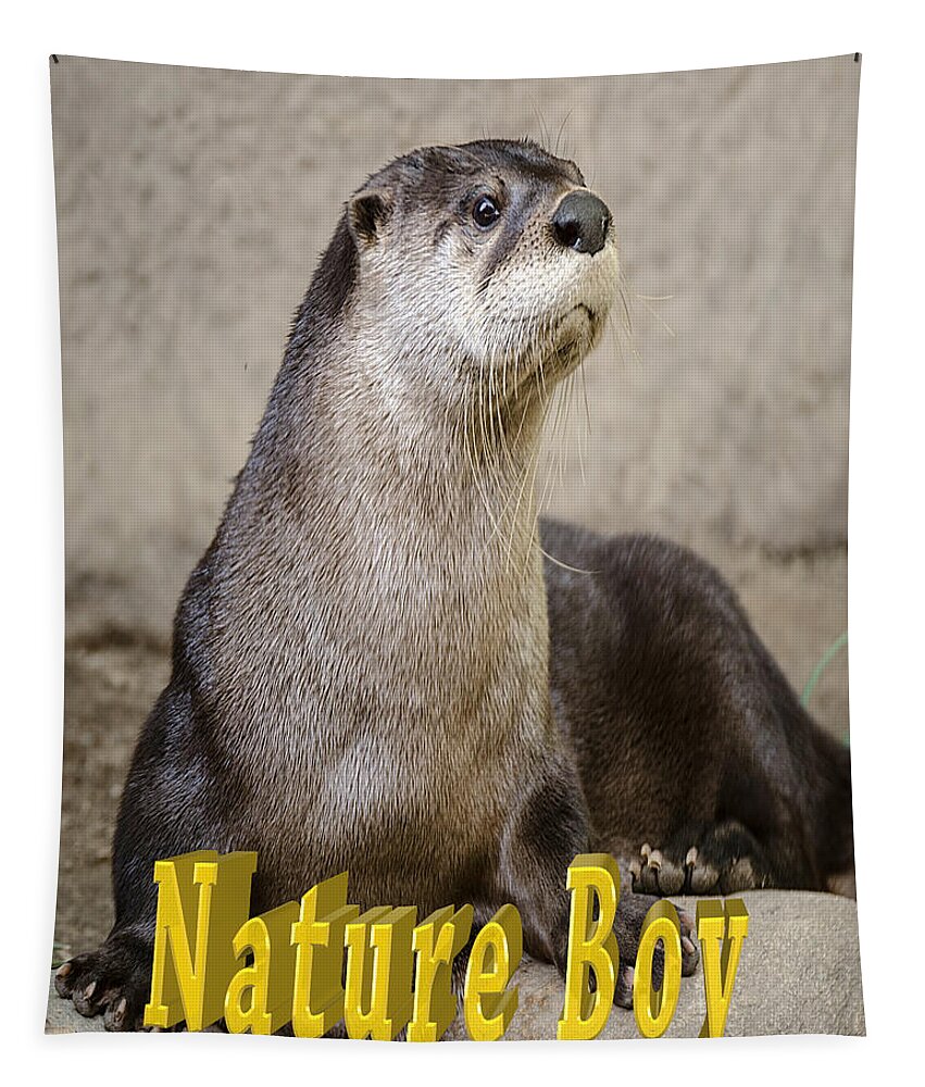 Nature Wear Tapestry featuring the photograph North American Otter Nature Boy by LeeAnn McLaneGoetz McLaneGoetzStudioLLCcom