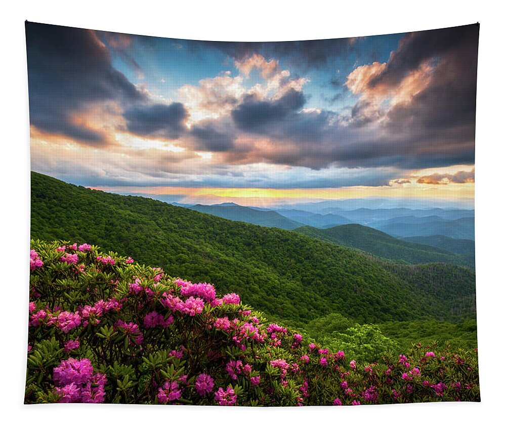 Blue Ridge Parkway Tapestry featuring the photograph North Carolina Blue Ridge Parkway Scenic Landscape Asheville NC by Dave Allen