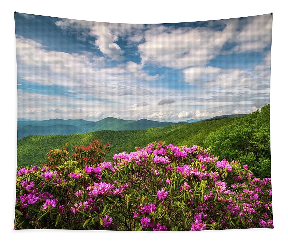 Asheville Tapestry featuring the photograph North Carolina Spring Flowers Mountain Landscape Blue Ridge Parkway Asheville NC by Dave Allen