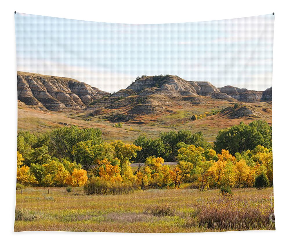 North Dakota Badlands Tapestry featuring the photograph North Dakota Badlands 9102 by Jack Schultz