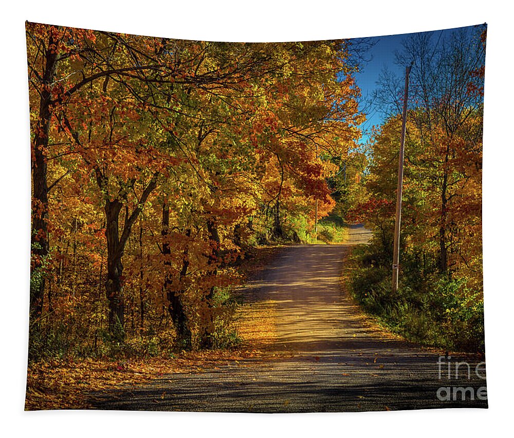 Landscape Tapestry featuring the photograph North Shore Road by Roger Monahan