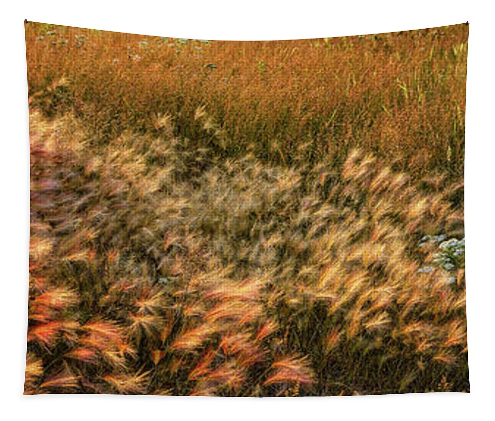Panorama Tapestry featuring the photograph Northern Summer by Doug Gibbons