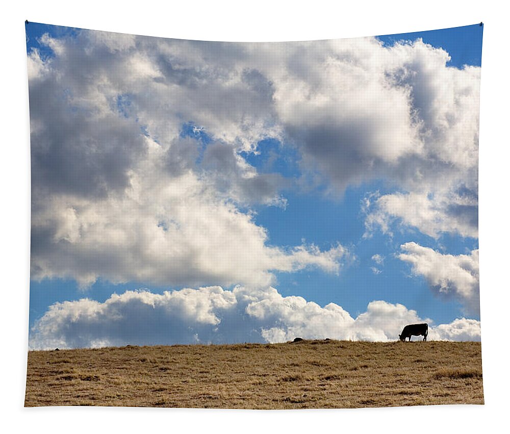 Big Sky Tapestry featuring the photograph Not a Cow in the Sky by Peter Tellone