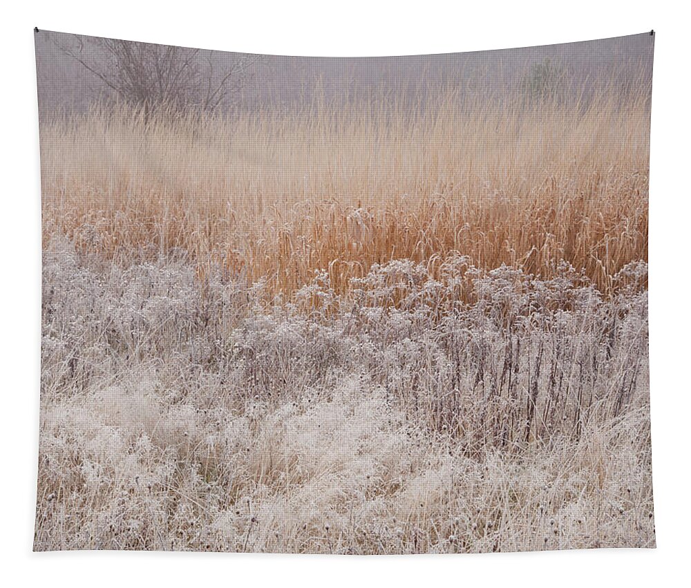 Late Autumn Tapestry featuring the photograph November Frosted Wild Field by Irwin Barrett