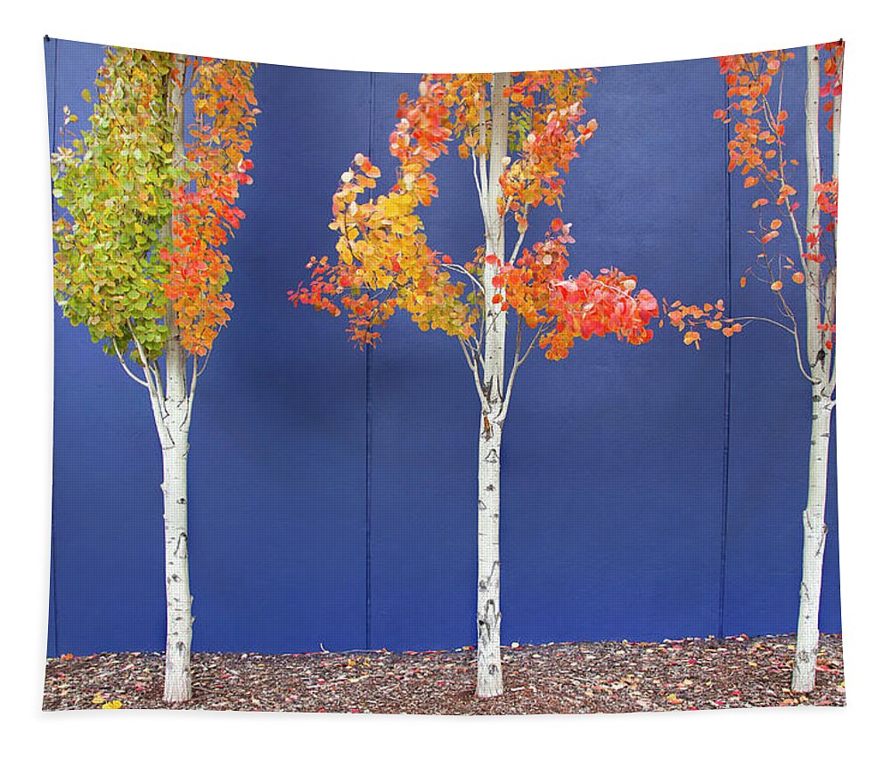 Autumn Tapestry featuring the photograph Now Showing by Theresa Tahara