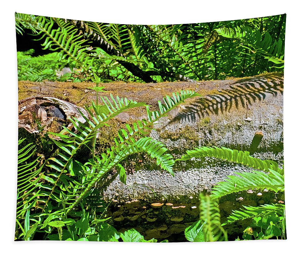 Nurse Log In Muir Woods National Monument Tapestry featuring the photograph Nurse Log in Muir Woods National Monument, California by Ruth Hager