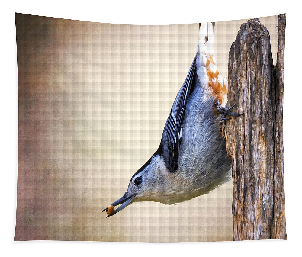Sitta Carolinensis Tapestry featuring the photograph Nuthatch Trajectory by Bill and Linda Tiepelman