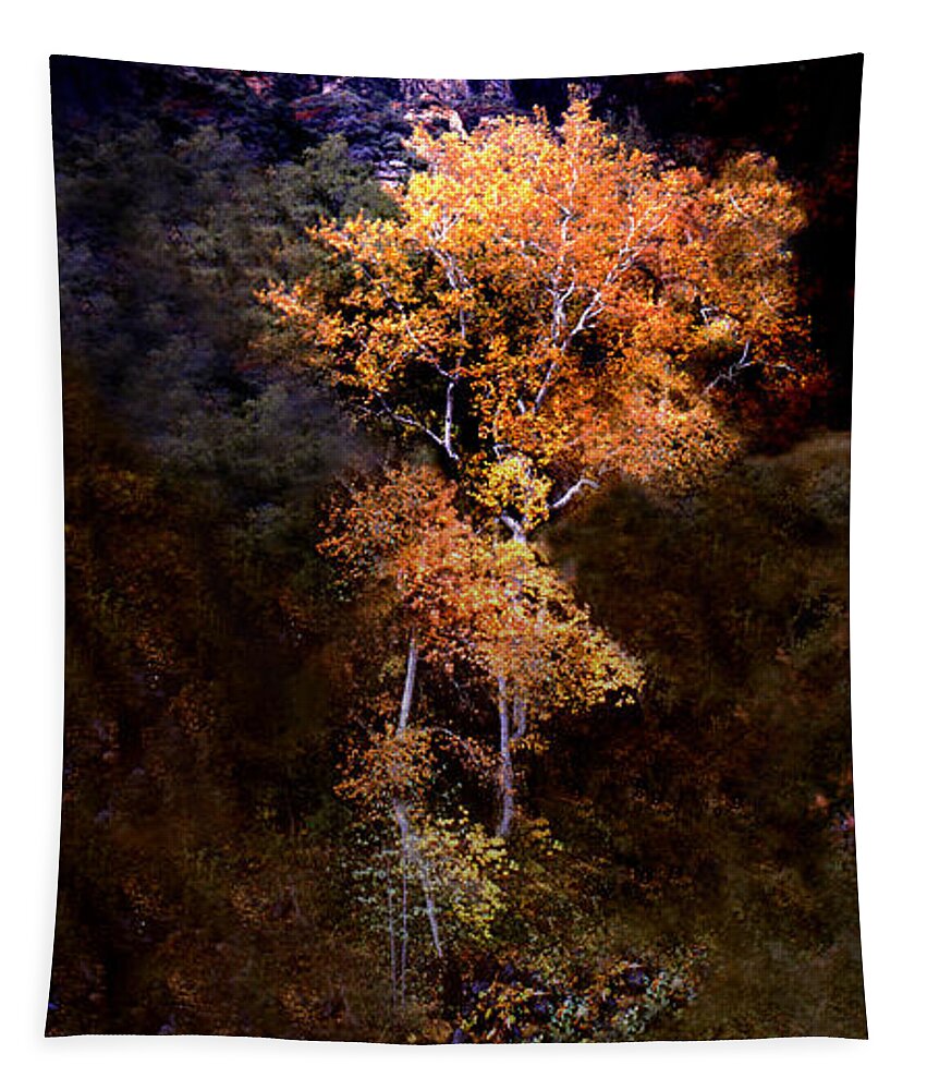 Oak Creek Canyon. Sedona . Flagstaff Tapestry featuring the photograph Oak Creek Canyon by Joe Hoover