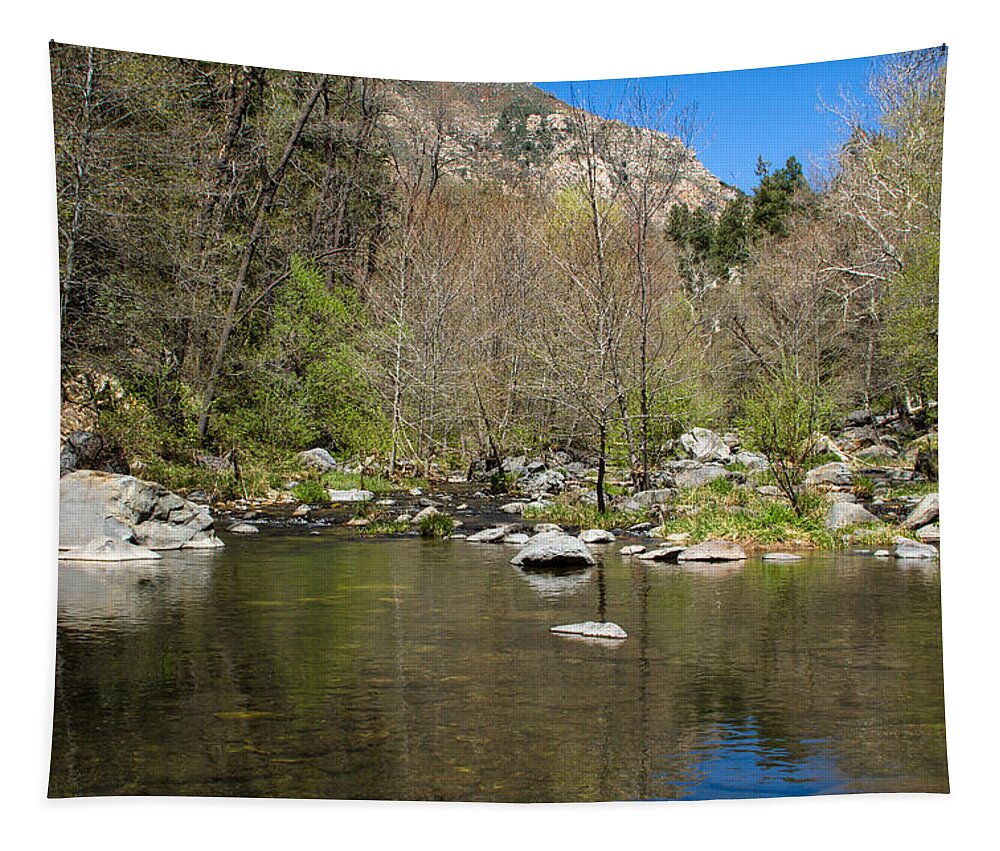 Oak Creek View Tapestry featuring the photograph Oak Creek View by Bonnie Follett