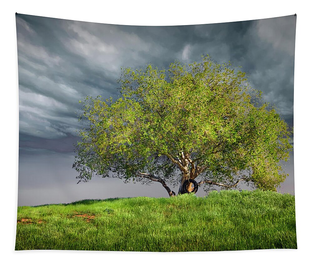Oak Tree Tapestry featuring the photograph Oak Tree With Tire Swing by Endre Balogh
