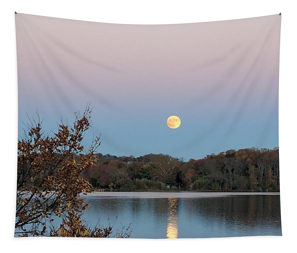 Moon Tapestry featuring the photograph Occoquan Moon by Lin Grosvenor