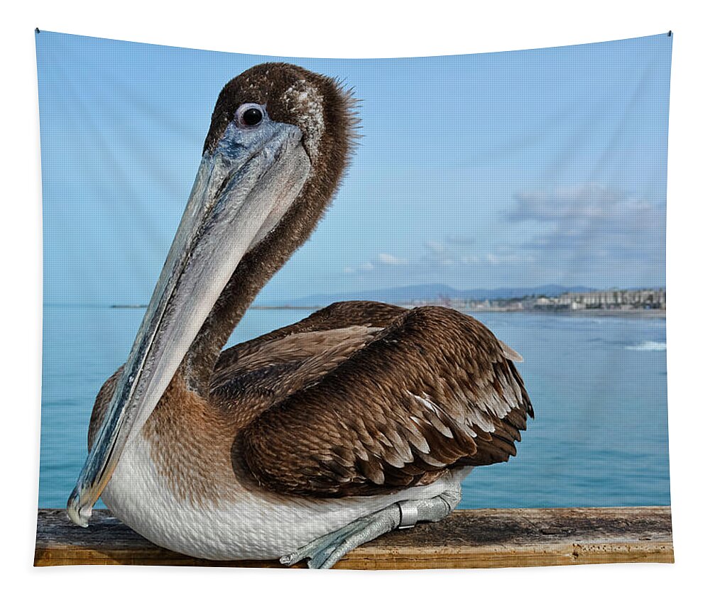 Brown Pelican Tapestry featuring the photograph Oceanside Brown Pelican by Kyle Hanson