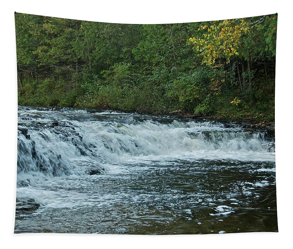 Ocqueoc Tapestry featuring the photograph Ocqueoc Falls_9535 by Michael Peychich