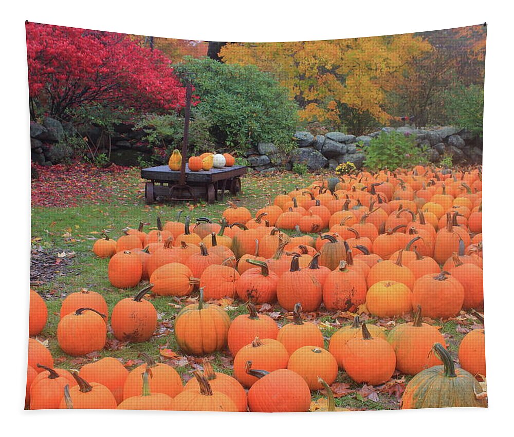 Pumpkin Tapestry featuring the photograph October Harvest by John Burk