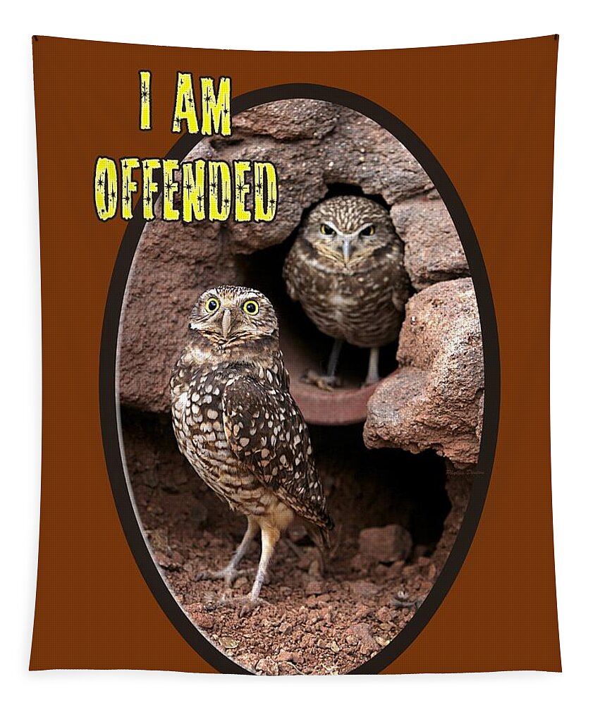 Owl Tapestry featuring the photograph Offended Owl by Phyllis Denton