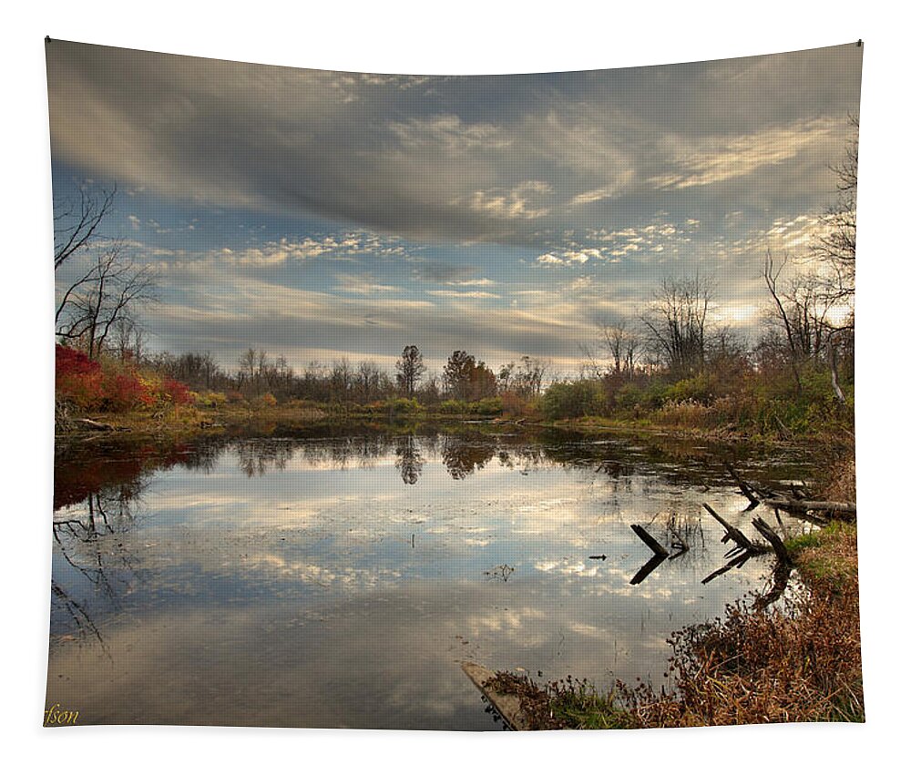 Landscape Tapestry featuring the photograph Ohio Sunset by Brian Gustafson