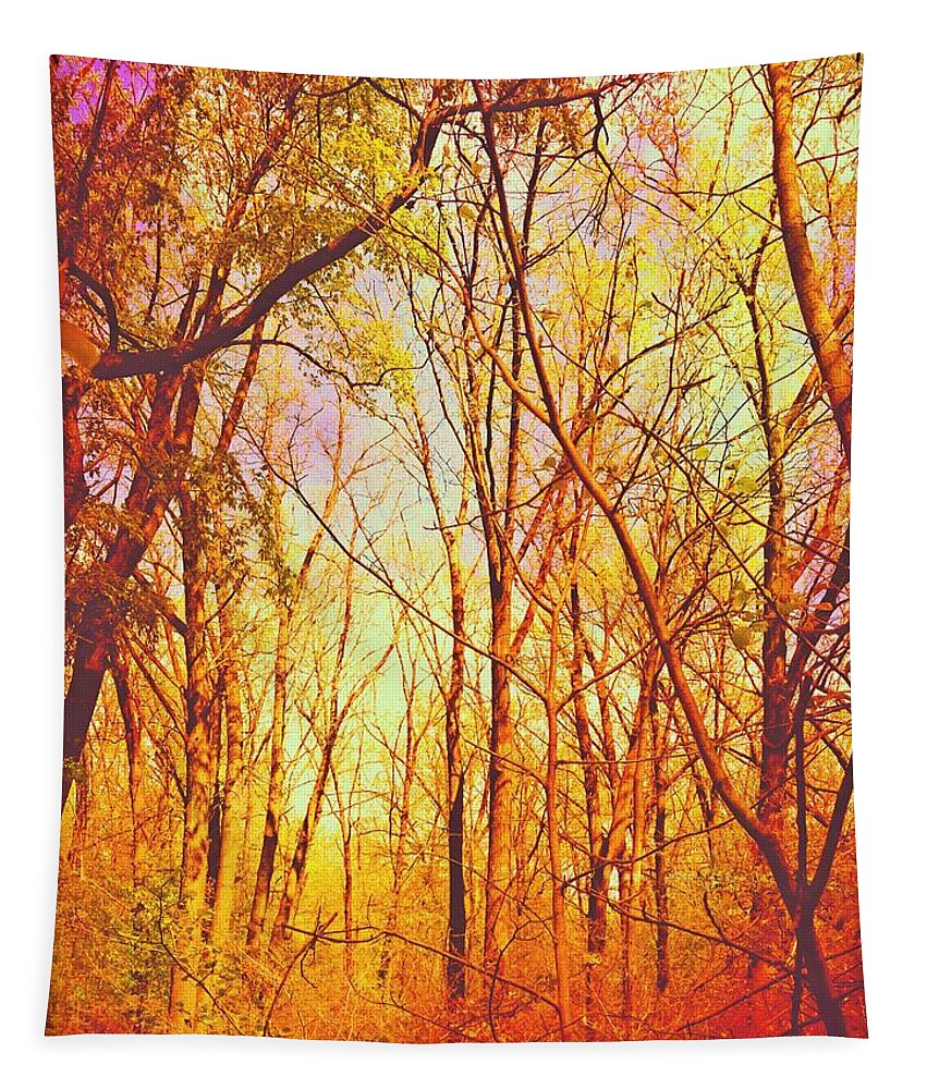 Fall Tapestry featuring the photograph Ojibway Autumn by Christine Paris