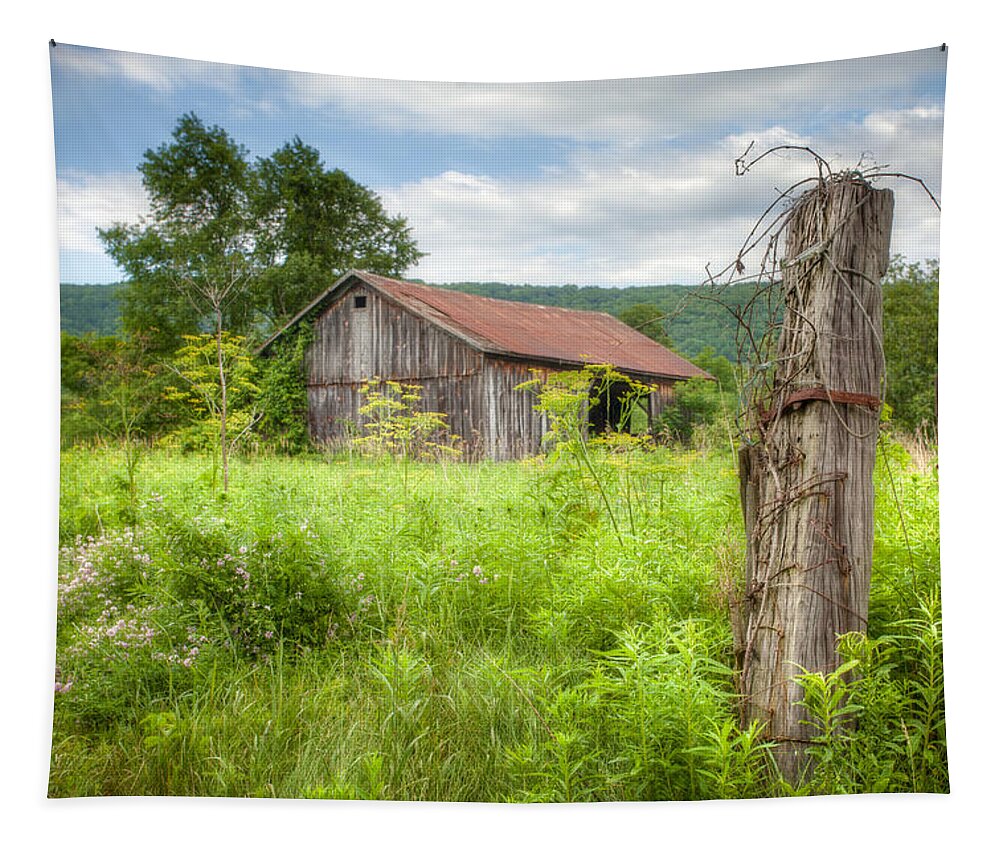Barns Tapestry featuring the photograph Old barn near Stryker Rd. Rustic Landscape by Gary Heller