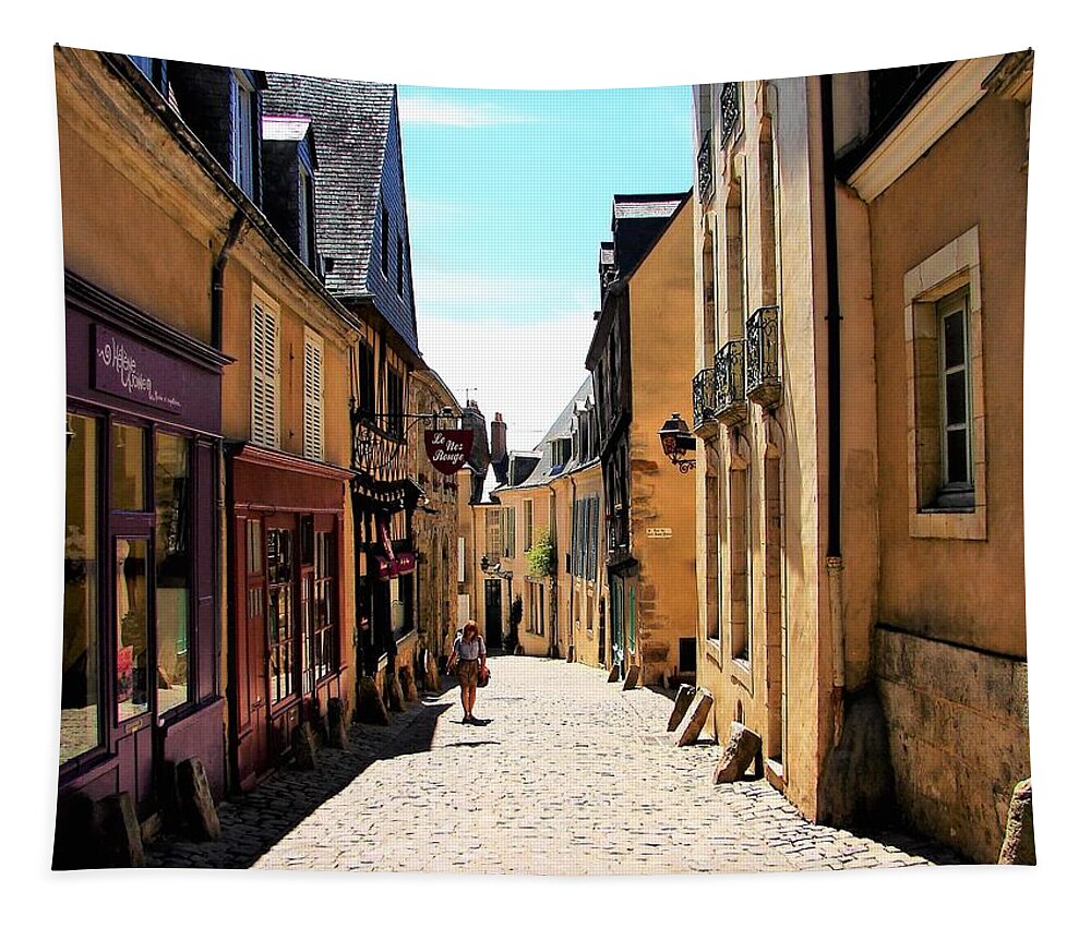 Cityscape Tapestry featuring the photograph Old buildings in France by Cristina Stefan