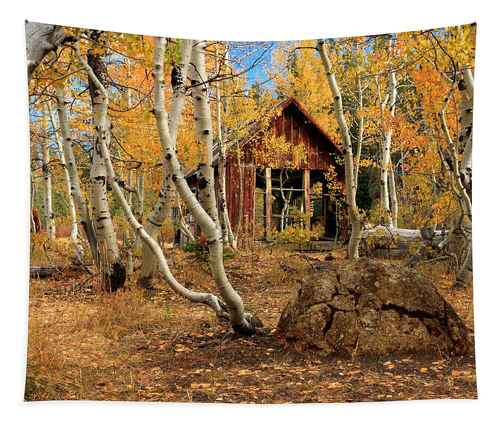Cabin Tapestry featuring the photograph Old Cabin In The Aspens by James Eddy