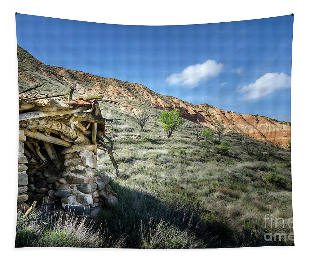 Agudo Tapestry featuring the photograph Old country hovel by RicardMN Photography