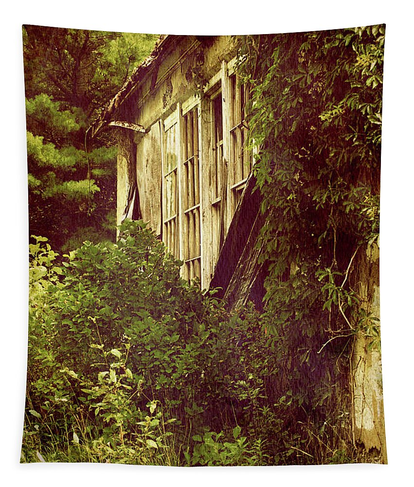 Abandoned Building Tapestry featuring the photograph Old Country Schoolhouse. by Kelly Nelson