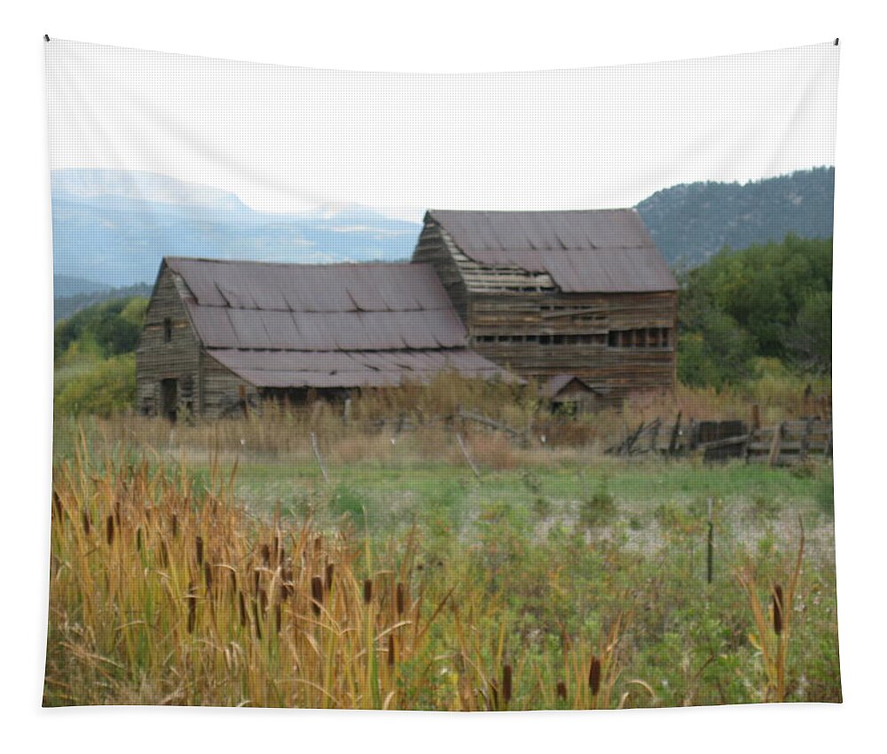 New Mexico Tapestry featuring the photograph Old Farmhouse by Ron Monsour