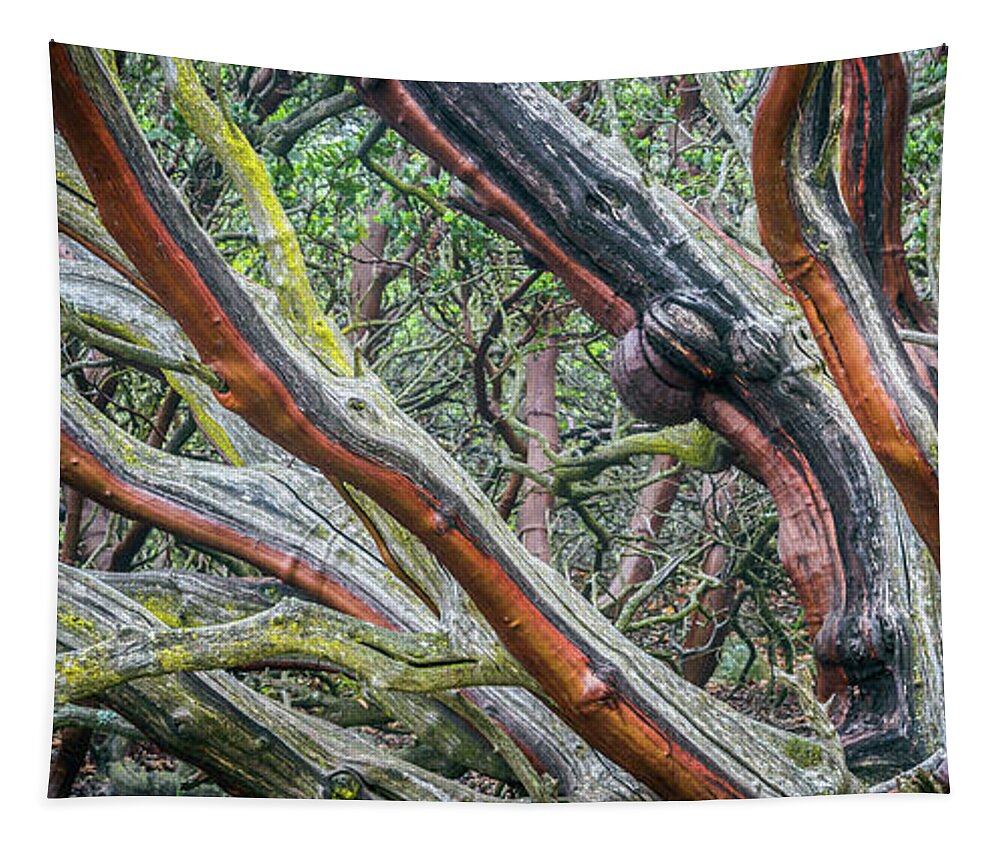 Manzanita Tapestry featuring the photograph Old-Growth Manzanita by Alexander Kunz