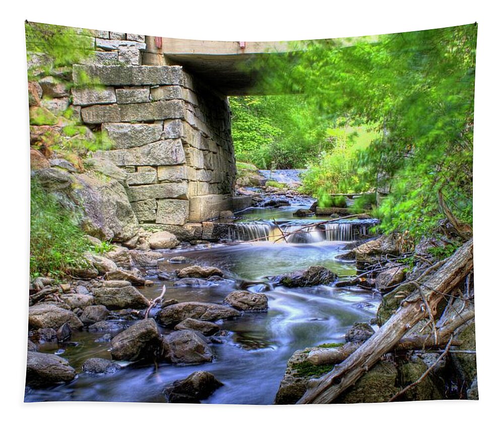 Water Tapestry featuring the photograph Old Mill Stream I by Greg DeBeck