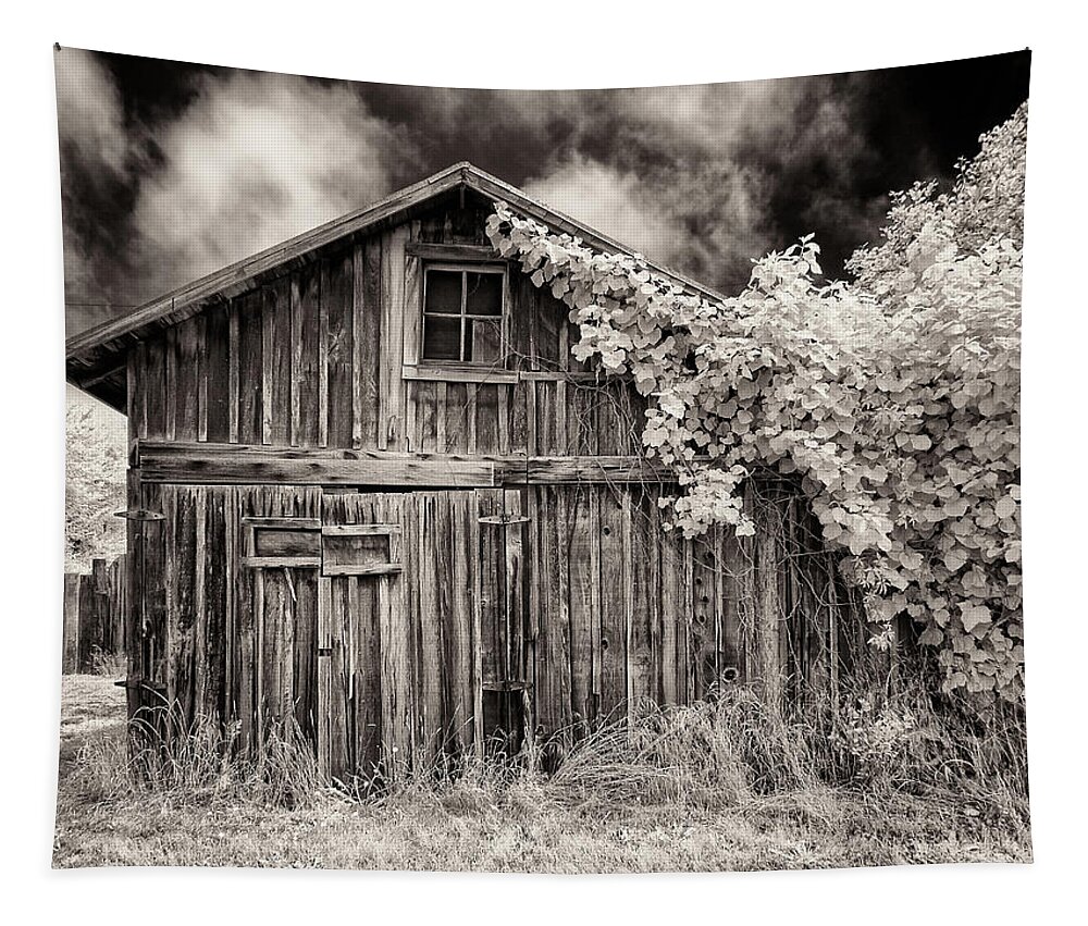 Old Shed Tapestry featuring the photograph Old Shed in Sepia by Greg Nyquist