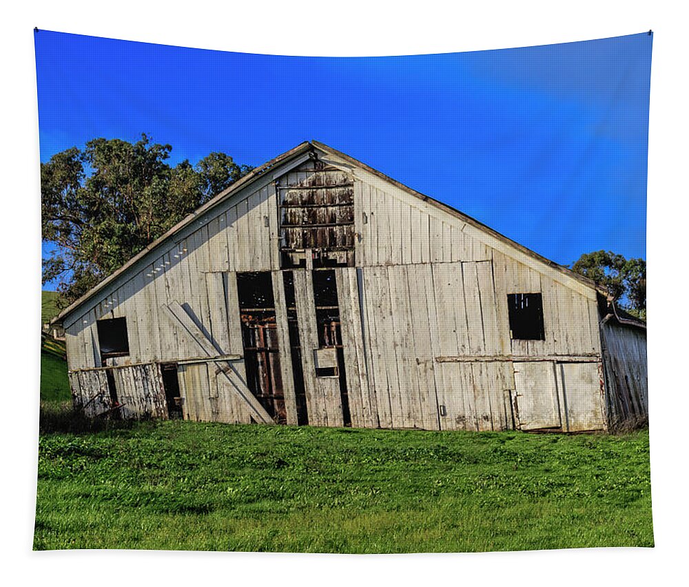 Barn Tapestry featuring the photograph Old White Barn by Bruce Bottomley