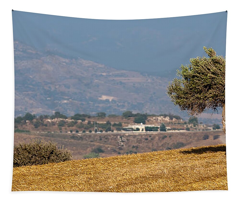 Tree Tapestry featuring the photograph Olive tree on a wheat field by Michalakis Ppalis