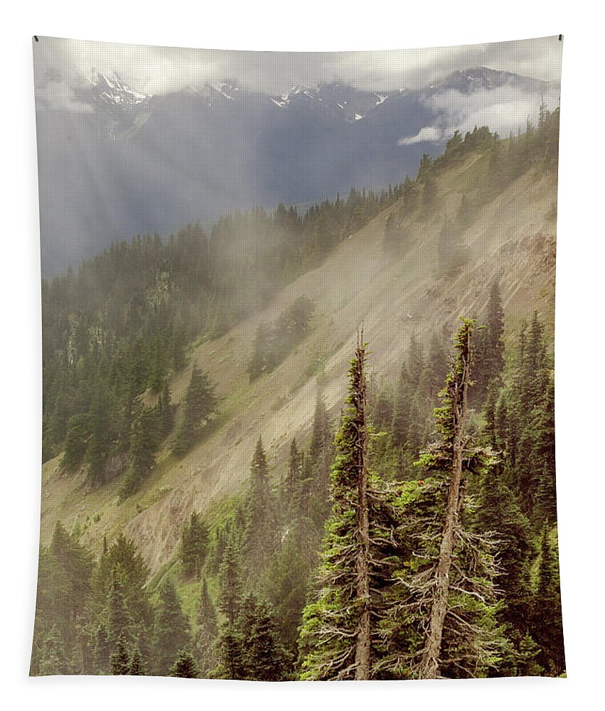 Mountains Tapestry featuring the photograph Olympic Range from Hurricane Ridge by Peter J Sucy