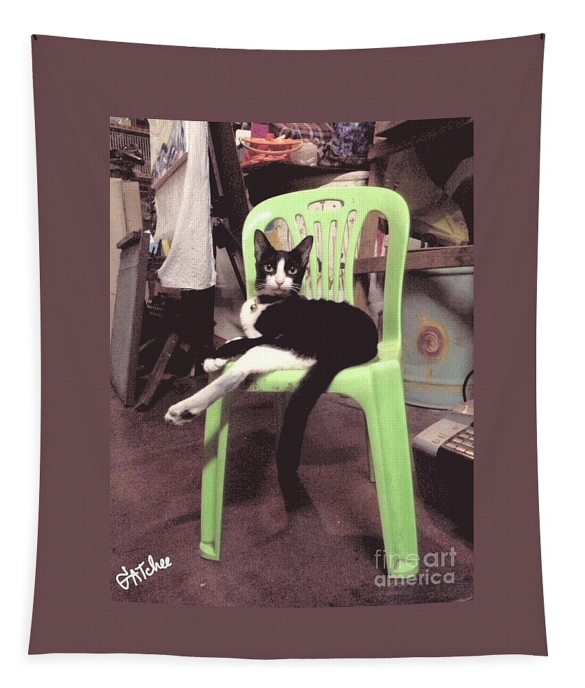 Cat Tapestry featuring the photograph On A Chair by Sukalya Chearanantana