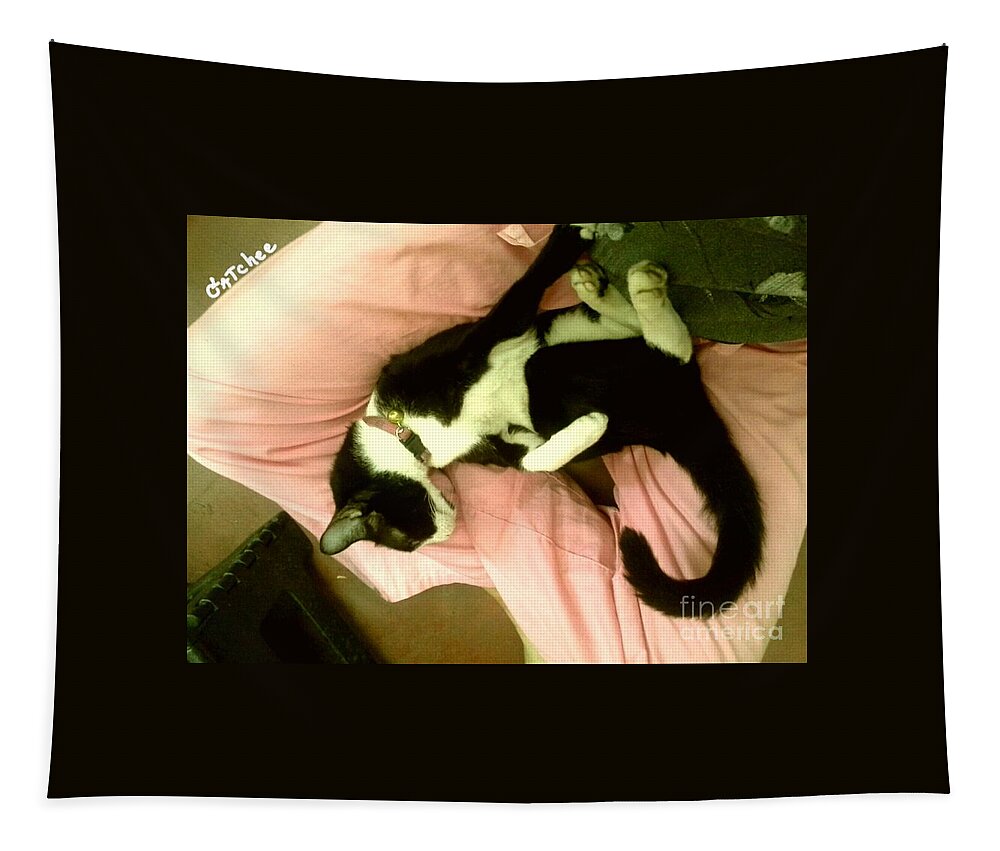 Cat Tapestry featuring the photograph On A Lap by Sukalya Chearanantana