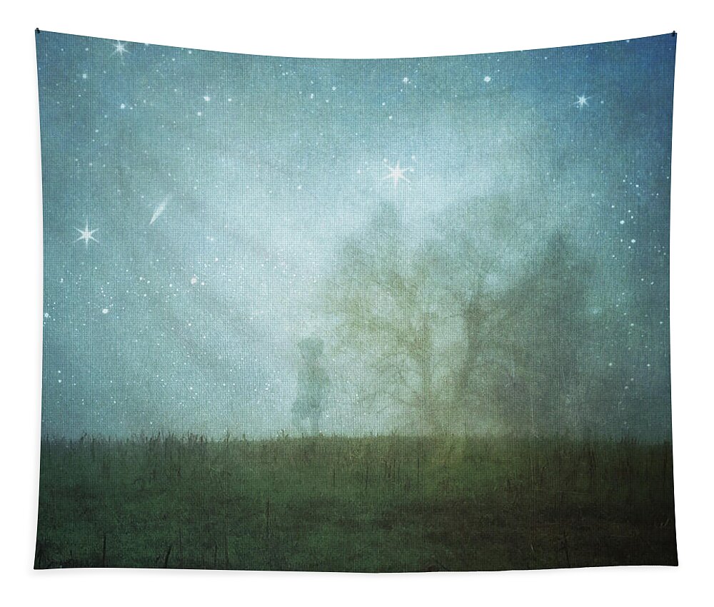 Digital Art Tapestry featuring the digital art On A Starry Night, A Boy And His Tree by Melissa D Johnston