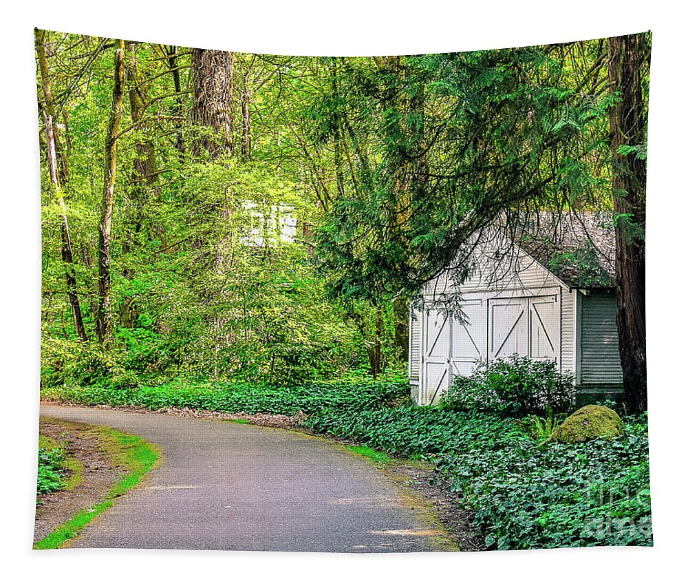 Trails Tapestry featuring the photograph On My Walk by Toni Somes