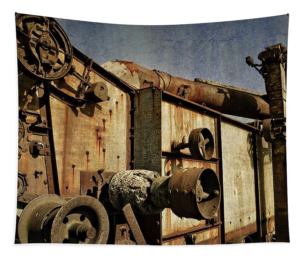 Retro Tapestry featuring the photograph On the Farm 2.0 by Michelle Calkins