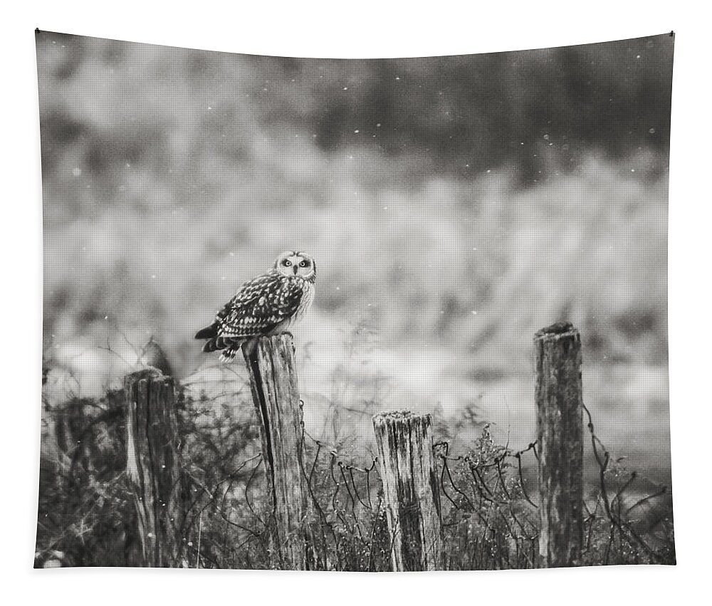 Black And White Tapestry featuring the photograph On The Fence BW by Carrie Ann Grippo-Pike