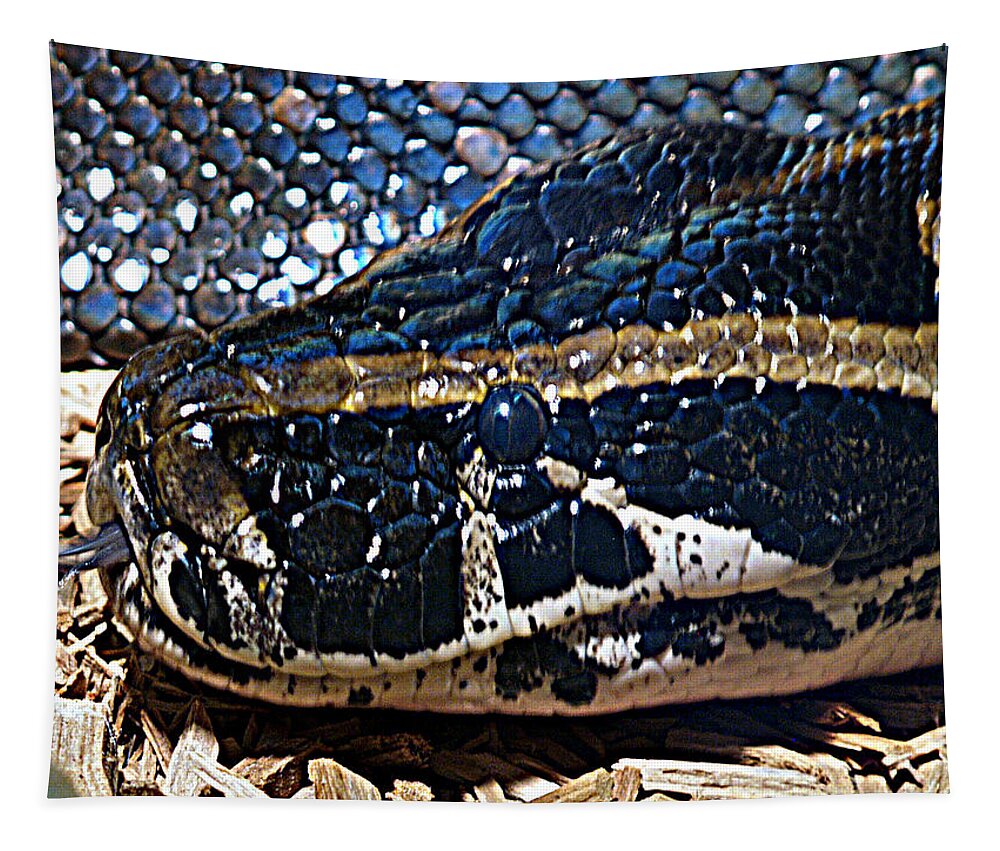 Snake Tapestry featuring the photograph On The Hunt by Bob Johnson