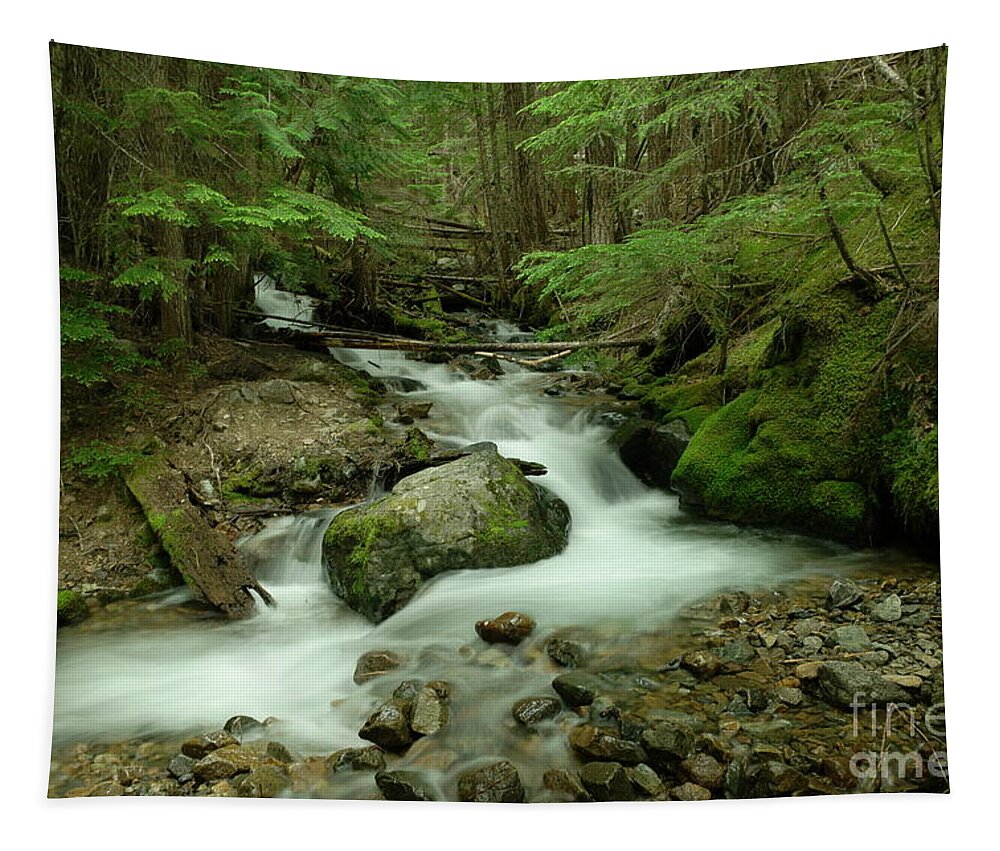 River Tapestry featuring the photograph On the way to Crystal Lakes by Jeff Swan