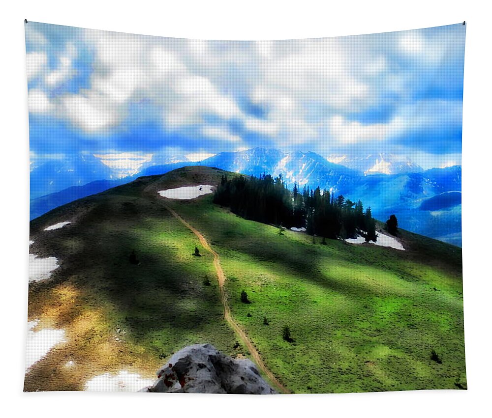 Sunny Tapestry featuring the photograph On Top of the World 			 by Cindy Greenstein