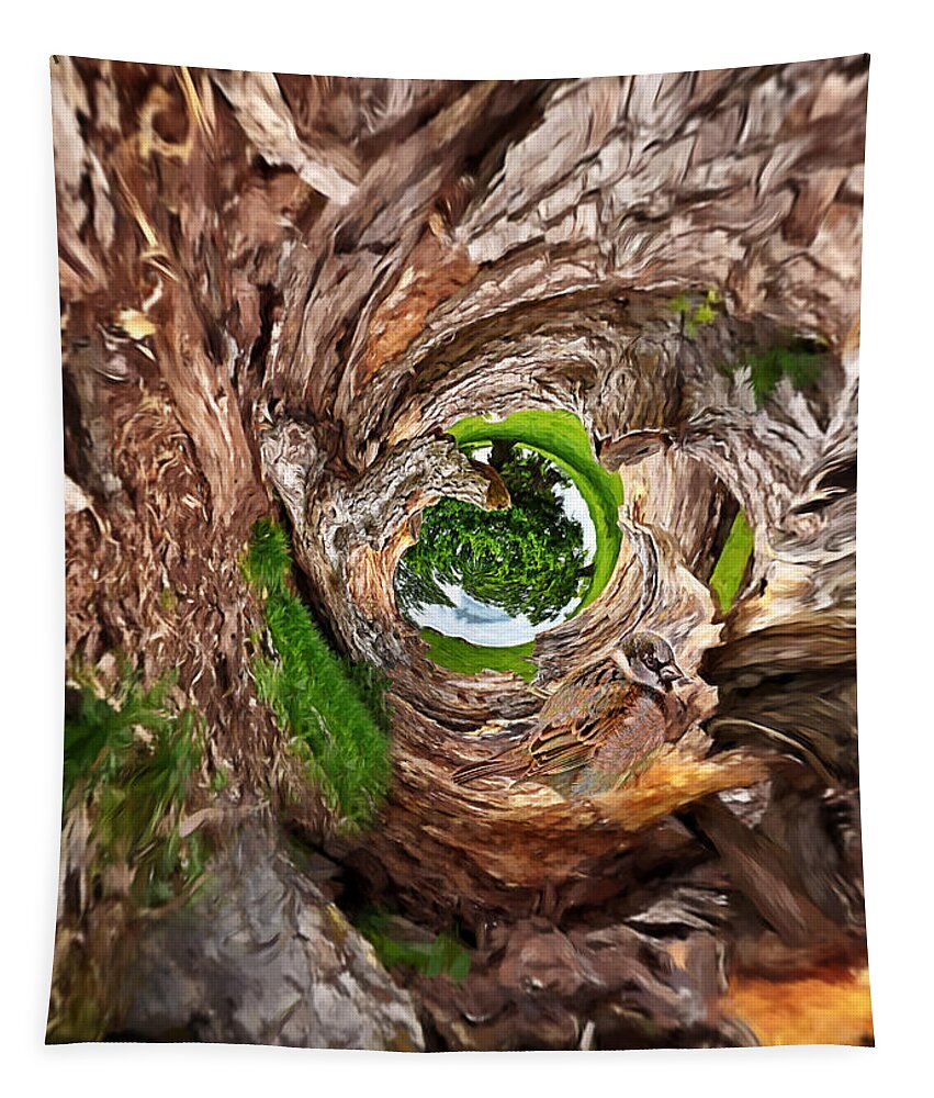 Tree Tapestry featuring the photograph Once A Tree by Pennie McCracken