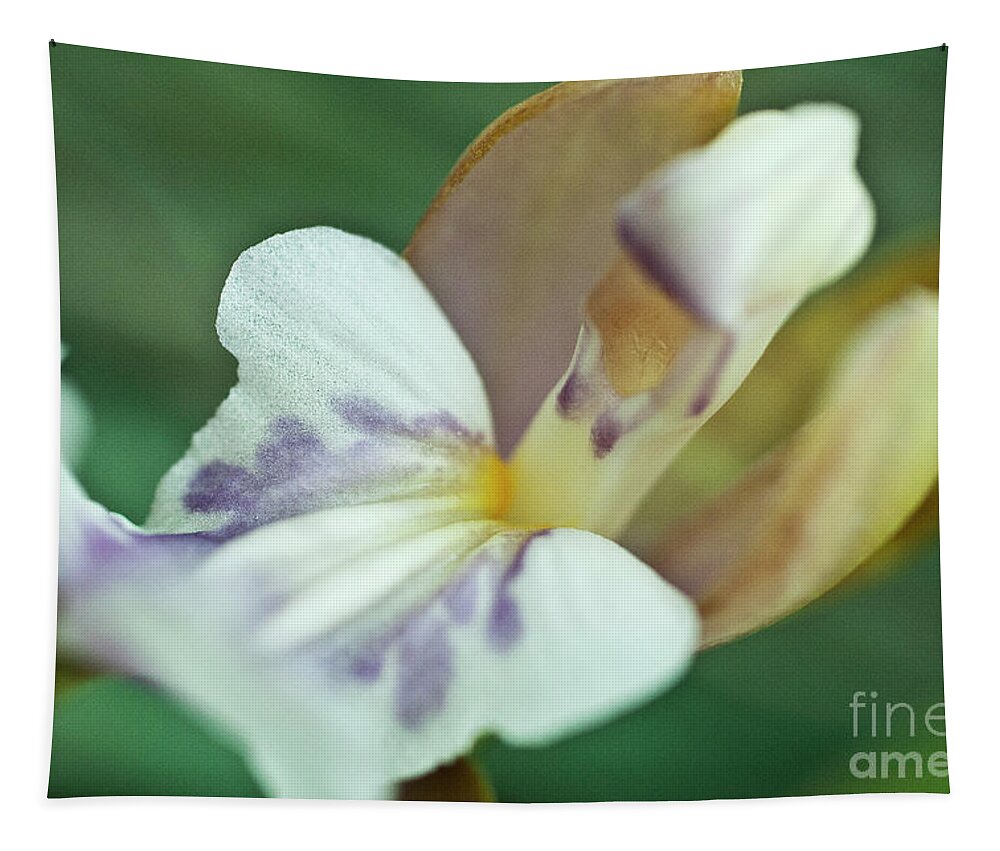 Orchid Tapestry featuring the photograph Oncium phalaenopsis by Heiko Koehrer-Wagner