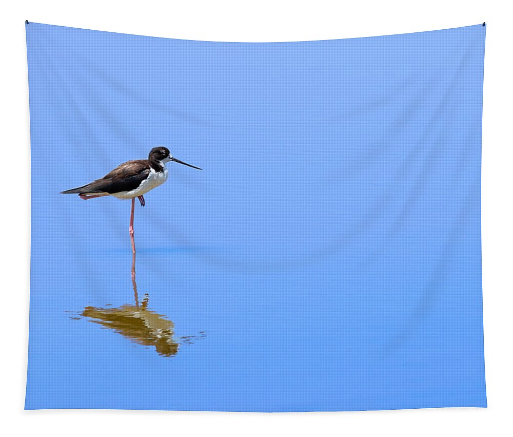 Bird Tapestry featuring the photograph One Standing Tall by Susan Rissi Tregoning