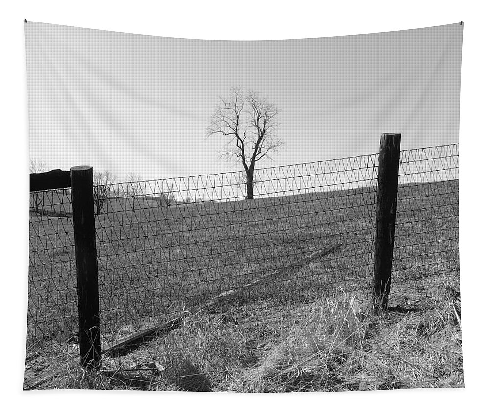 Kentucky Tapestry featuring the photograph Open Land by Christopher Brown