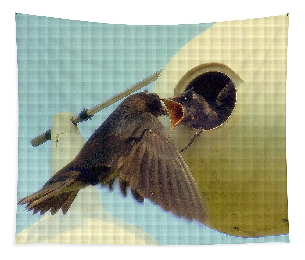 Purple Martins Tapestry featuring the photograph Open Wide by Karen Wiles