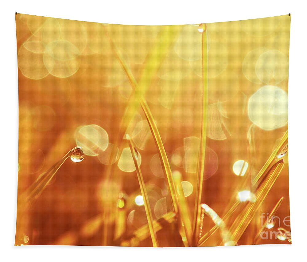 Orange Prints Tapestry featuring the photograph Orange Awakening by Aimelle Ml